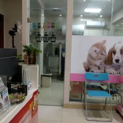 洪星1998寵物店詳細信息 電話、地址、價格、營業時間及圖片