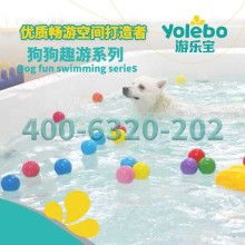 江西上饒家樂寵物用品廠 專注寵物牽引帶與專業(yè)寵物服務